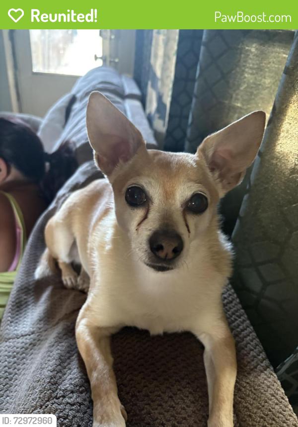 Reunited Male Dog last seen E highway 50, college pkwy, 7-11, Carson City, NV 89706