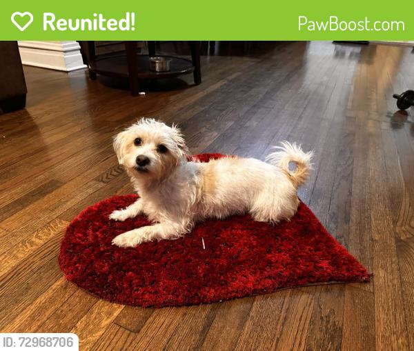 Reunited Female Dog last seen Ridgeway , Chicago, IL 60624