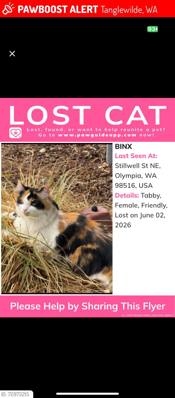Lost Female Cat last seen Stillwell and 12th, Tanglewilde, WA 98516