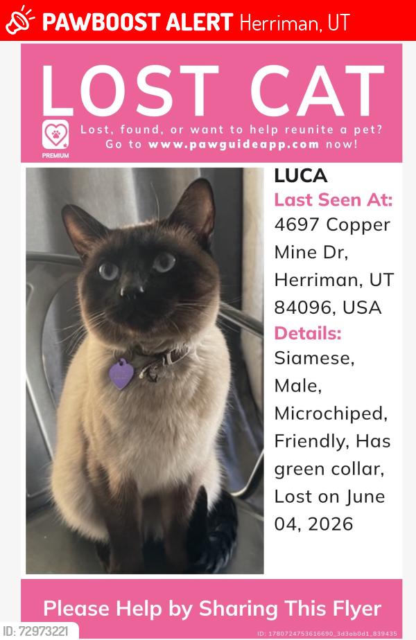 Lost Male Cat last seen Copper Mine Dr, Herriman, UT 84096