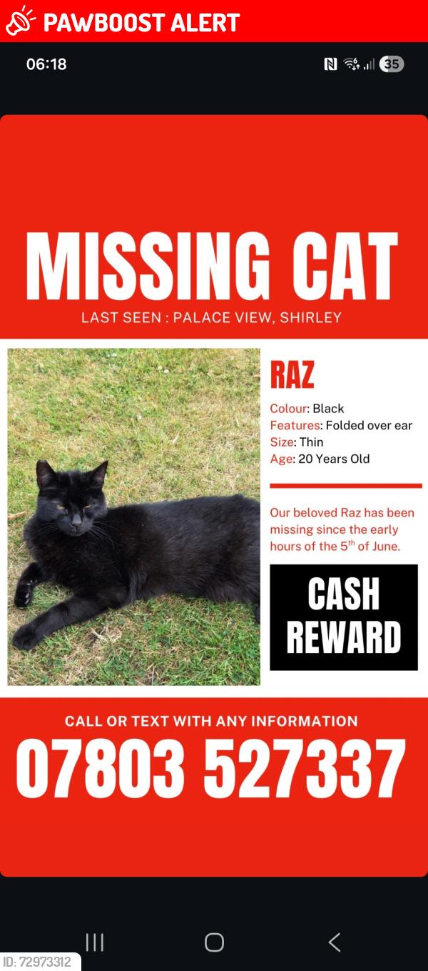 Lost Male Cat last seen Bridle road, Greater London, England CR0