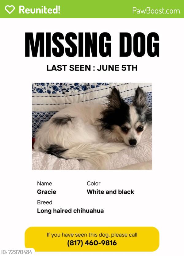 Reunited Female Dog last seen Bancroft ct , Arlington, TX 76017