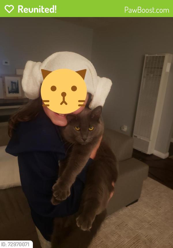 Reunited Female Cat last seen Public Academy For Performing Arts, Albuquerque, NM 87112