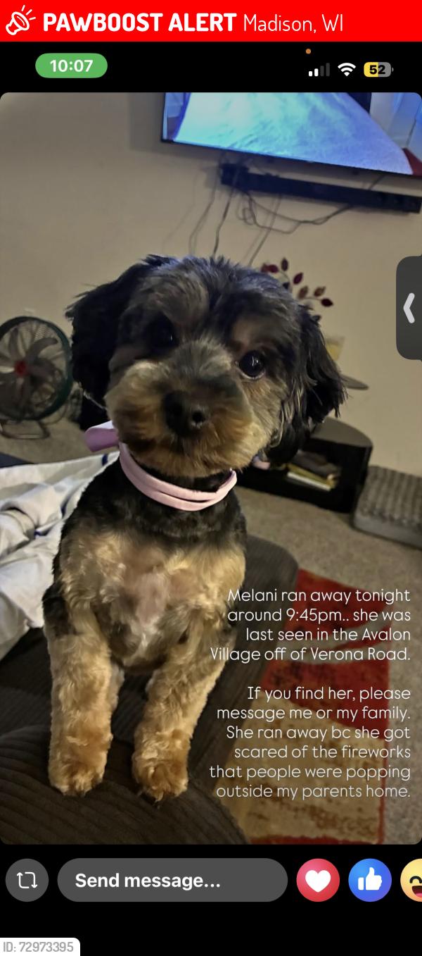 Lost Female Dog last seen Ran towards woods, Madison, WI 53711