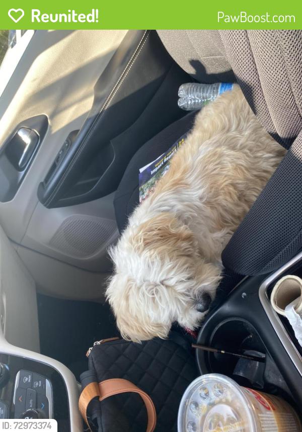 Reunited Male Dog last seen Mckee and Jackson, San Jose, CA 95133