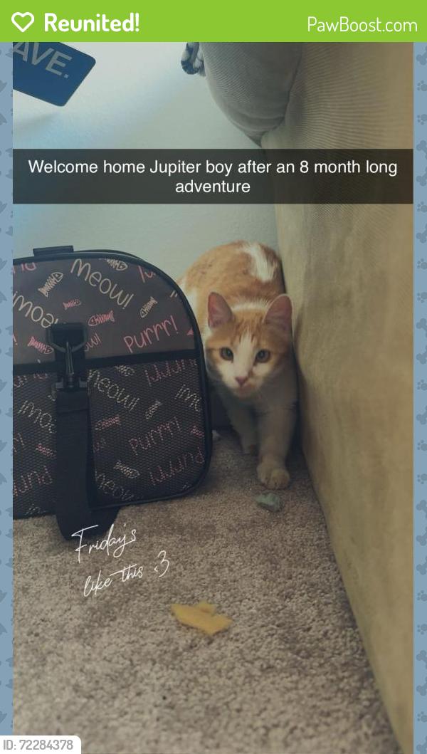 Reunited Male Cat last seen Chambers and quincy, Aurora, CO 80014