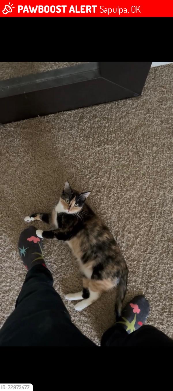 Lost Female Cat last seen Near and Franklin rd, Sapulpa, OK 74066