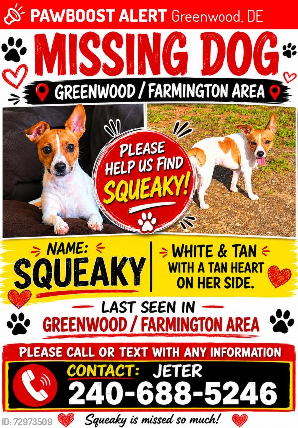 Lost Female Dog last seen US 13 and home, Greenwood, DE 19950