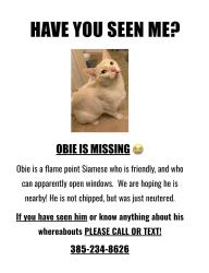 Reunited Male Cat last seen Near S. 2300 E. , Salt Lake City, UT 84109