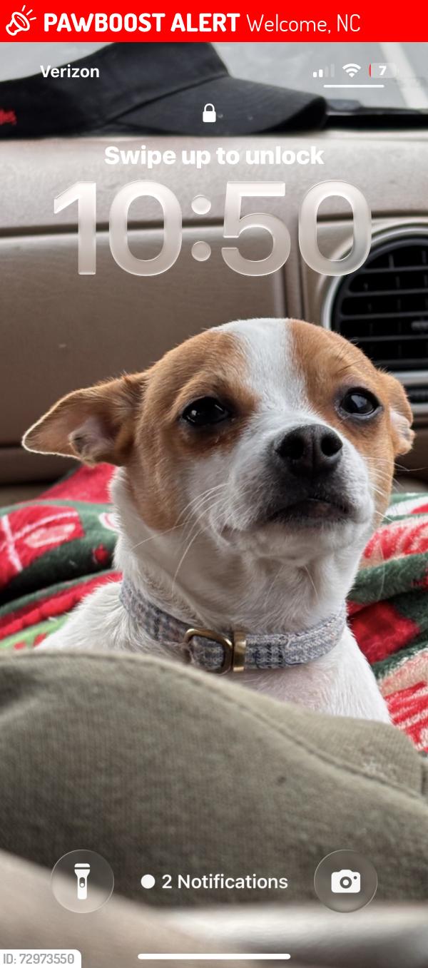 Lost Male Dog last seen Near hwy, Welcome, NC 27295