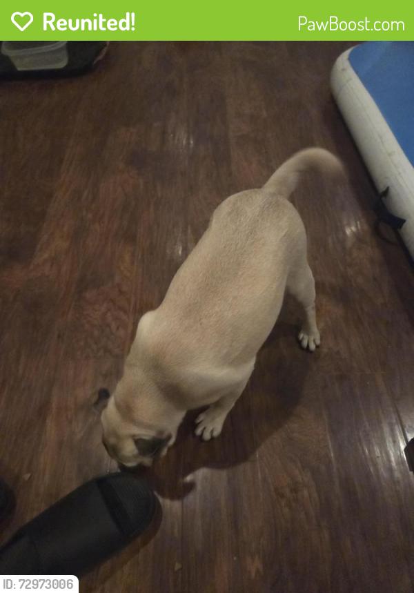 Reunited Unknown Dog last seen New Lagrange Rd , Lyndon, KY 40222