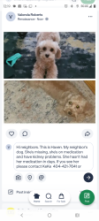 Lost Female Dog last seen Shannon Pkwy , Flat Shoals Rd, GA 30349