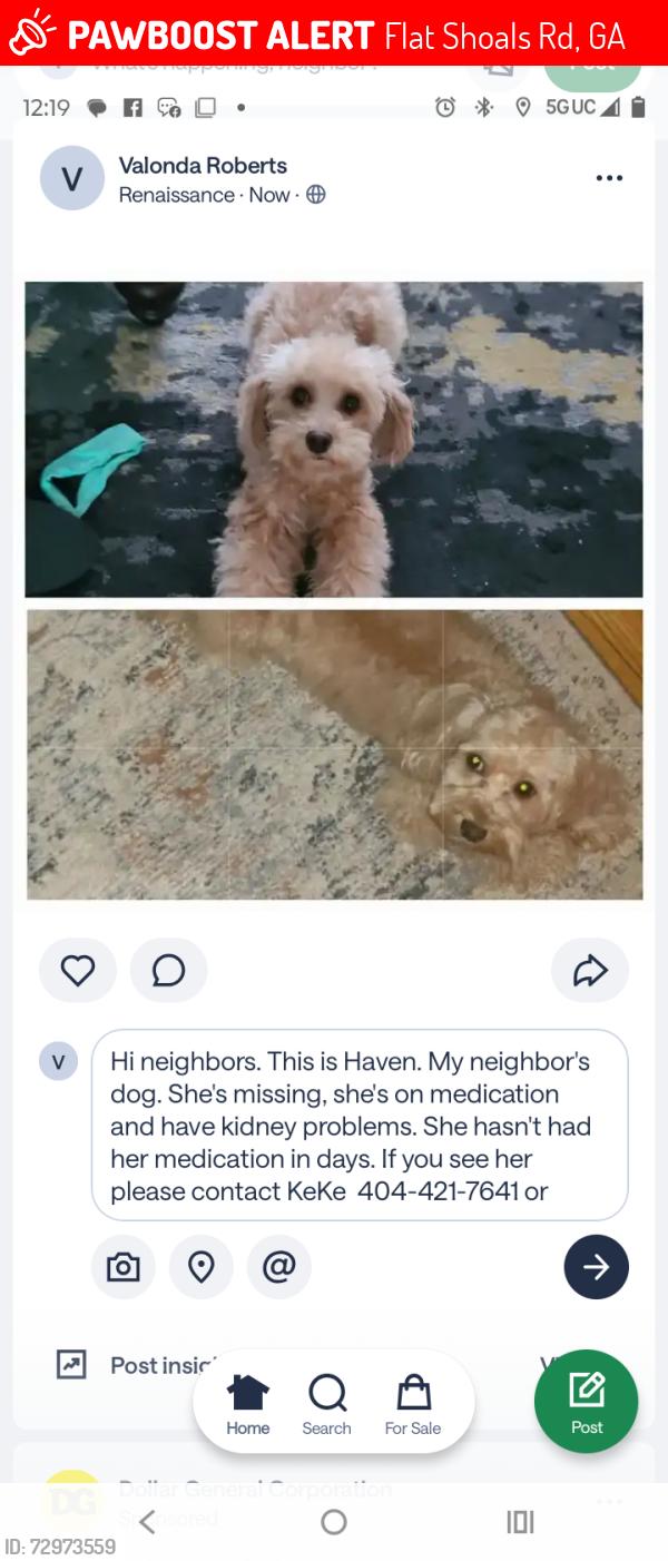 Lost Female Dog last seen Shannon Pkwy , Flat Shoals Rd, GA 30349