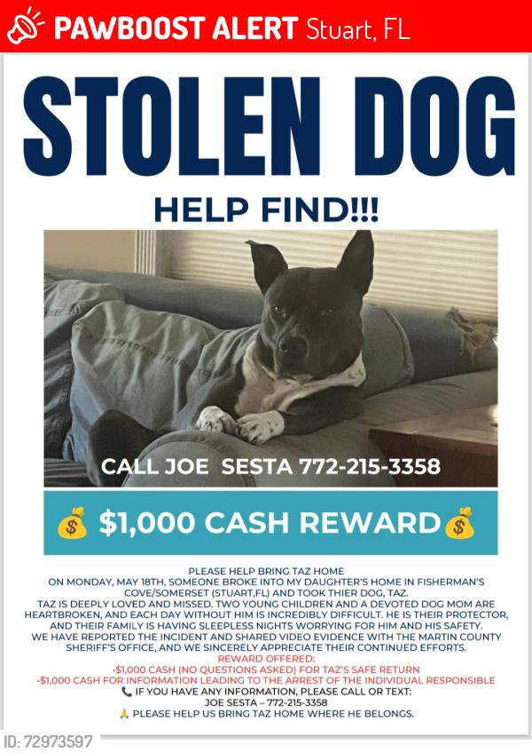 Lost Male Dog last seen Fisherman's cove kanner hwy stuart, Stuart, FL 34994