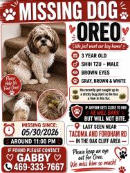 Lost Male Dog last seen Tacoma St and Fordham Rd, Dallas, TX 75216