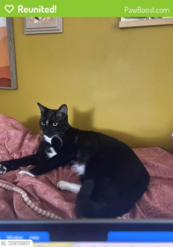 Reunited Male Cat last seen Clydedale Dr. and Cleavemark Dr., Clarkston, GA 30021