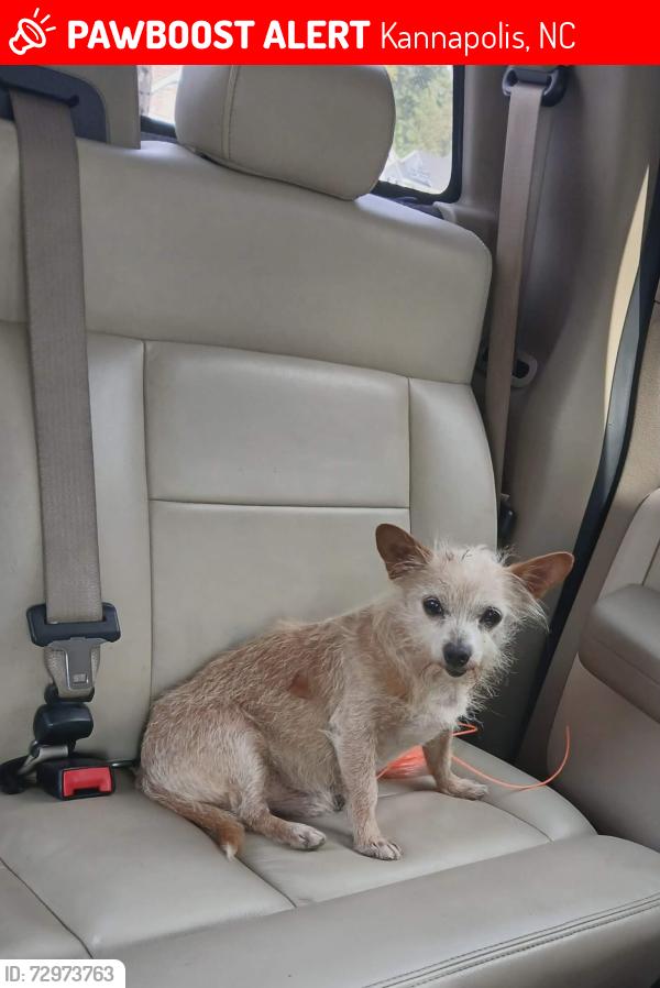 Lost Male Dog last seen Centergrove Rd, Kannapolis, NC 28083