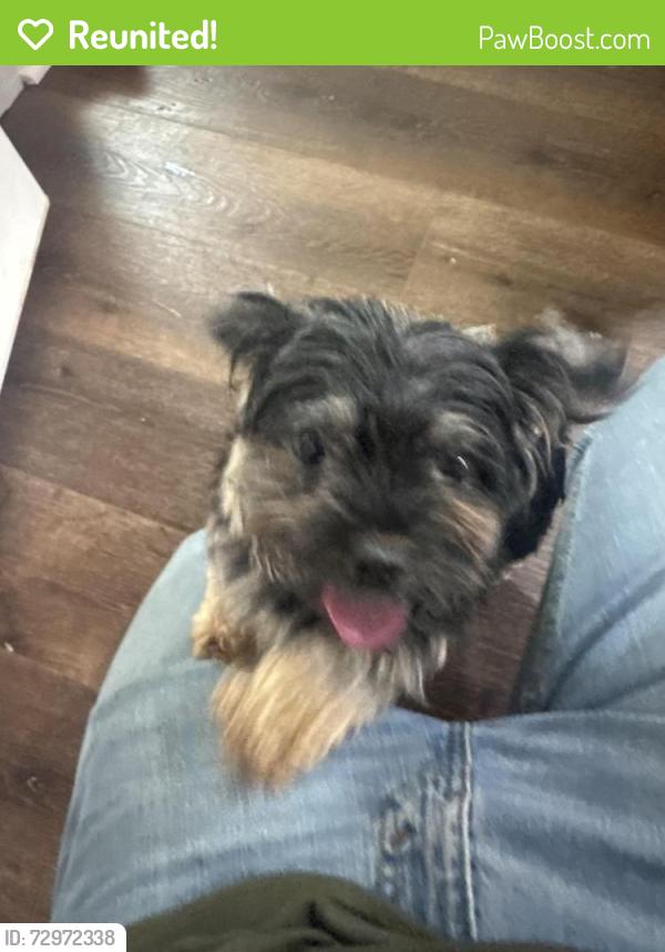 Reunited Female Dog last seen Woodland Rd, Clearview Dr, Monroe, GA 30655