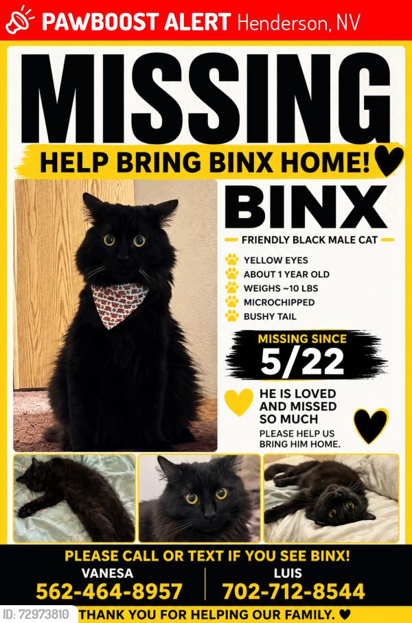 Lost Male Cat last seen Valle verde and nuevo , Henderson, NV 89014