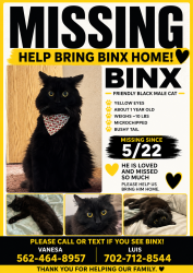 Lost Male Cat last seen Valle verde and nuevo , Henderson, NV 89014