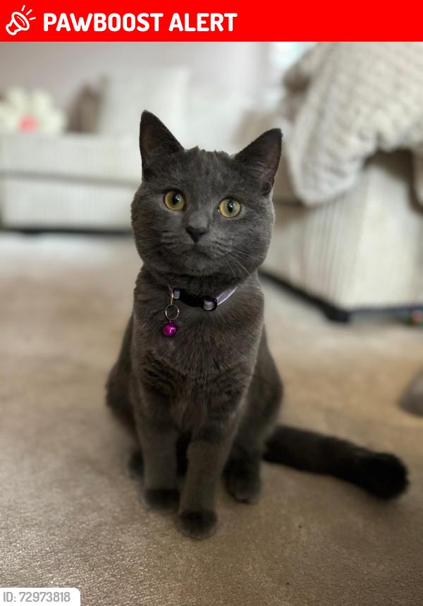 Lost Female Cat last seen St Johns church on st Johns road, Merseyside, England PR8 4RZ