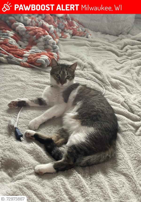 Lost Male Other last seen Near s 20th street , Milwaukee, WI 53221