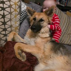 Lost Female Dog last seen Sunny sands, Cameron , Cameron, NC 28326