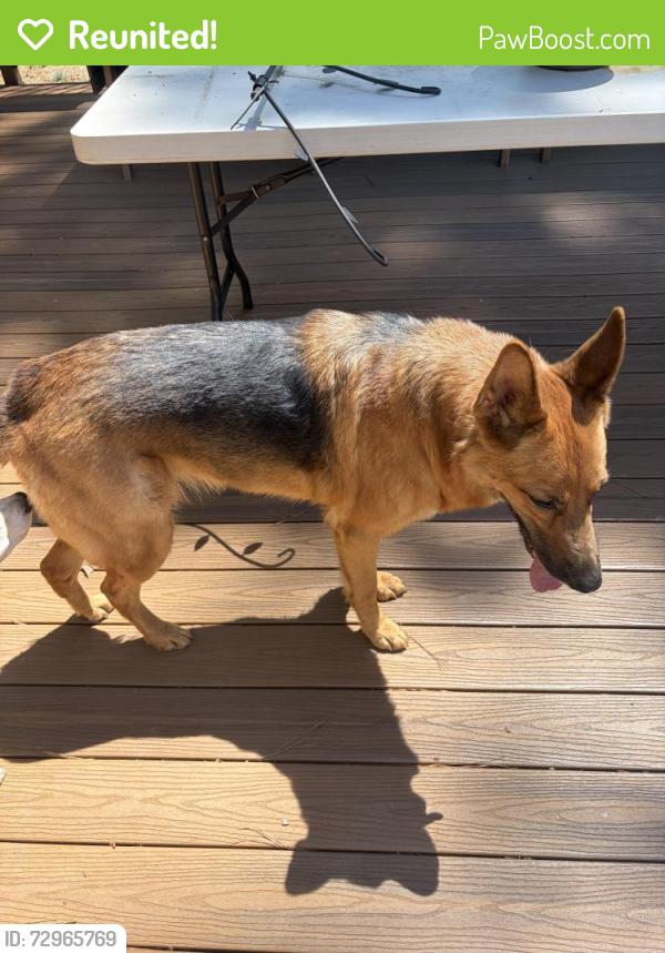 Reunited Unknown Dog last seen Autumn Dr, Stafford, VA 22556