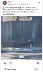 Found/Stray Unknown Cat last seen Hillsdale and cherry, San Jose, CA 95118