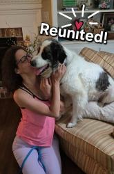 Reunited Male Dog last seen Mineral Springs Rd and Timbergate Dr. , Lexington, SC 29073