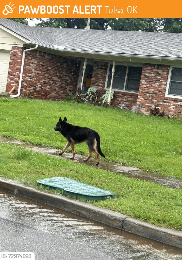 Found/Stray Unknown Dog last seen hses, Tulsa, OK 74128