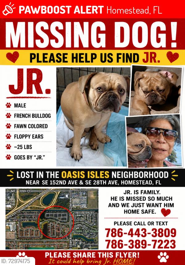 Lost Male Dog last seen Keys gate , Homestead, FL 33035
