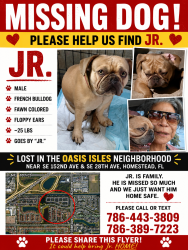 Lost Male Dog last seen Keys gate , Homestead, FL 33035
