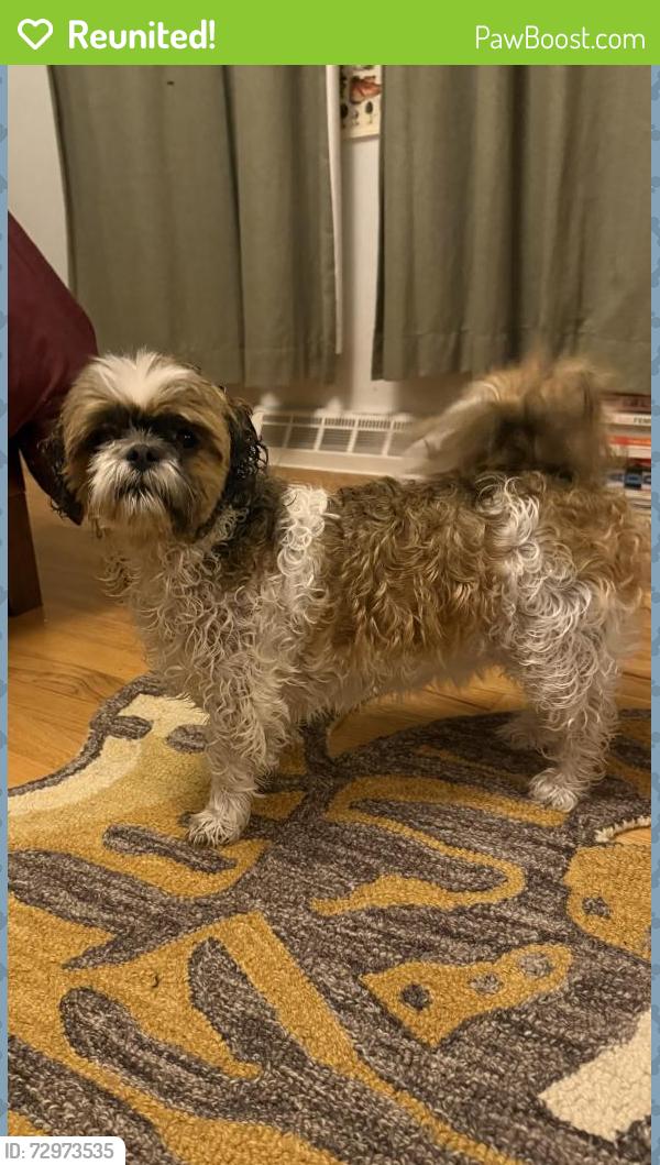 Reunited Female Dog last seen Hackberry Hill Elementary , Arvada, CO 80003