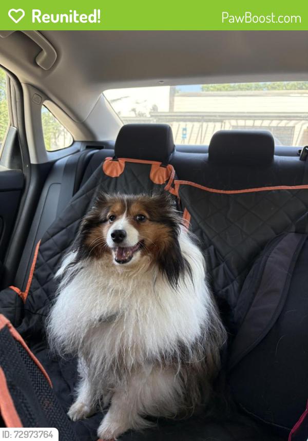 Reunited Unknown Dog last seen Roundabout on Tallassee Rd in Athens, Athens, GA 30607
