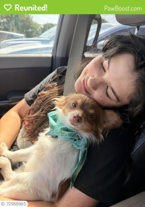 Reunited Male Dog last seen Near Dublin Ridge Dr, Crowley, TX 76036, USA, Crowley, TX 76036