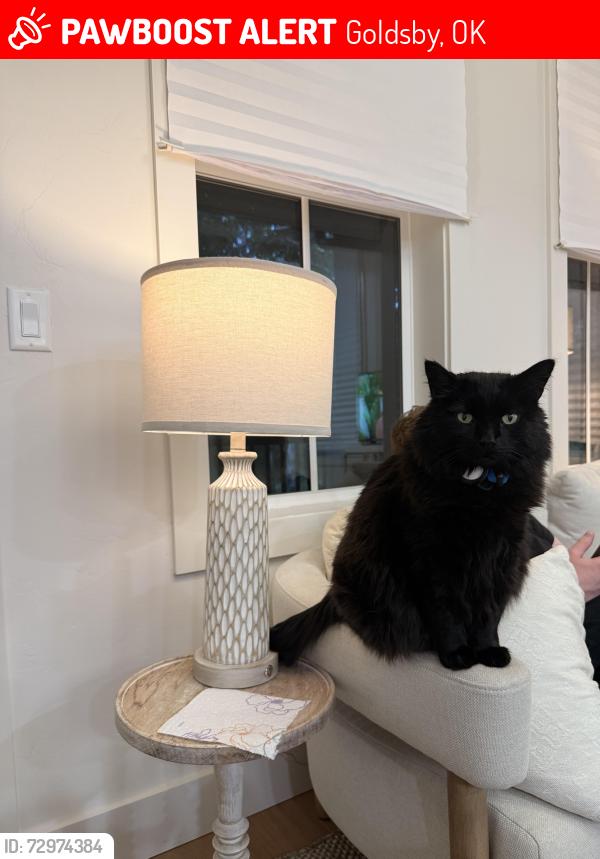 Lost Male Cat last seen Cottages in the Selah District, Goldsby, OK 73093