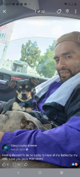 Lost Male Dog last seen Near s 3rd ave, inglewood, CA 90305, Inglewood, CA 90305