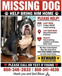 Lost Male Dog last seen Chaseville/Navy/Erhmann in westerly heights neighborhood, West Pensacola, FL 32507
