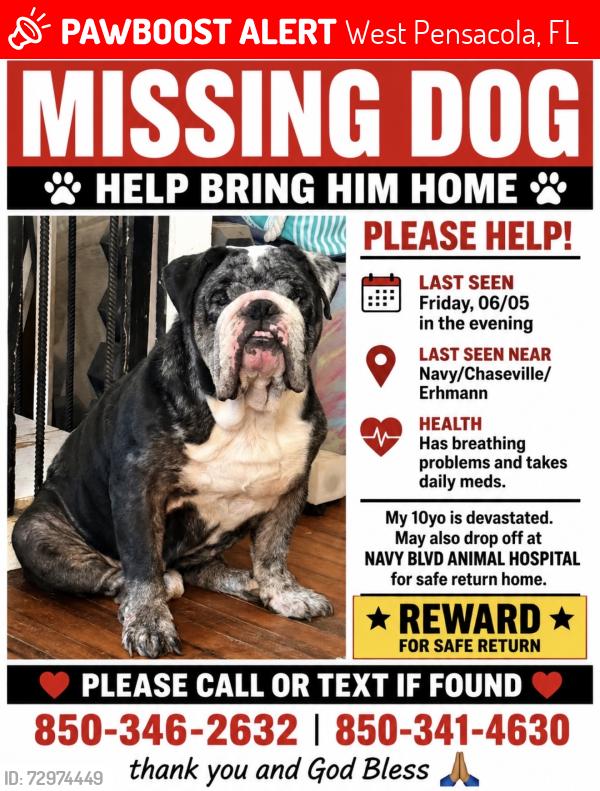 Lost Male Dog last seen Chaseville/Navy/Erhmann in westerly heights neighborhood, West Pensacola, FL 32507