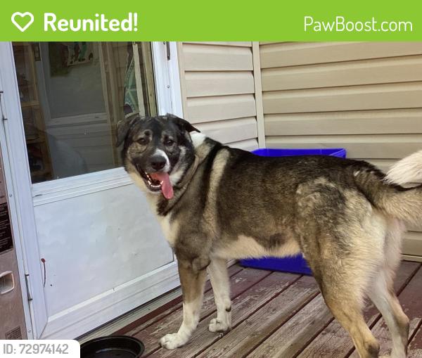 Reunited Male Dog last seen Ness & Berry, Winnipeg, MB R3J 1N5