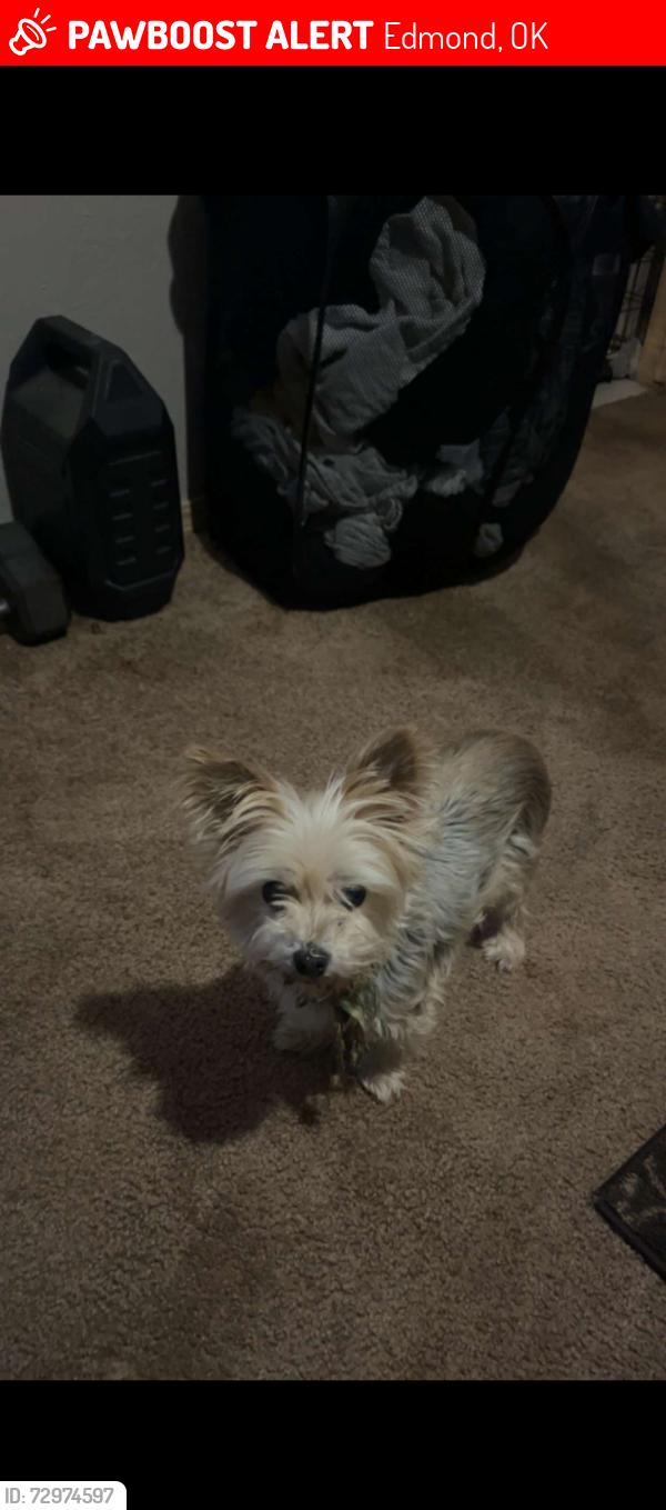 Lost Female Dog last seen Please contact Aricka , Edmond, OK 73003