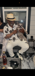 Lost Female Dog last seen Near , Houston, TX 77090