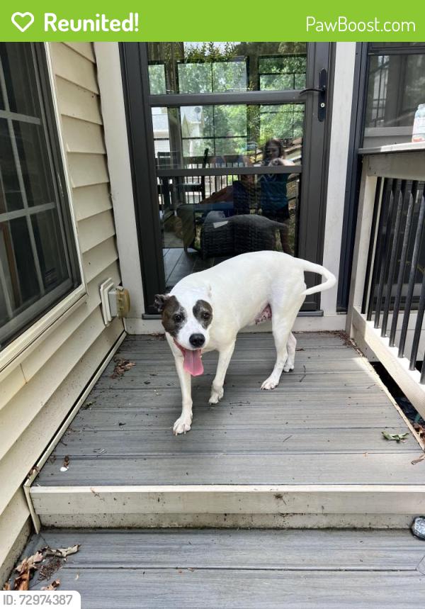 Reunited Female Dog last seen Elrond drive and Rivendell , Charlotte, NC 28269