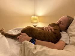 Reunited Male Cat last seen Near Pilot Hill Road, Gold River, CA 95670