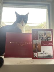 Lost Male Cat last seen Turnberry and sportsman club, Bourbonnais, IL 60914
