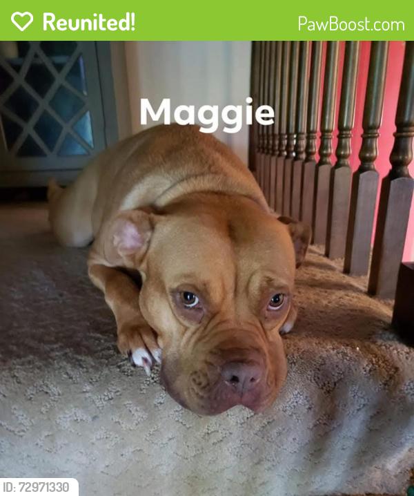 Reunited Female Dog last seen Barth and nelson, Indianapolis, IN 46203