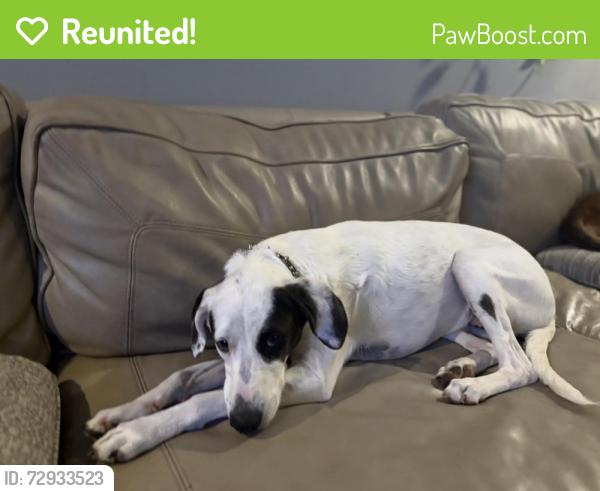 Reunited Female Dog last seen Alameda and Santa Fe near IWA, Corpus Christi, TX 78404