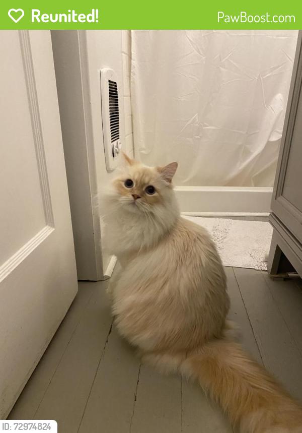 Reunited Male Cat last seen 11th and 57th NW, Seattle, WA 98117
