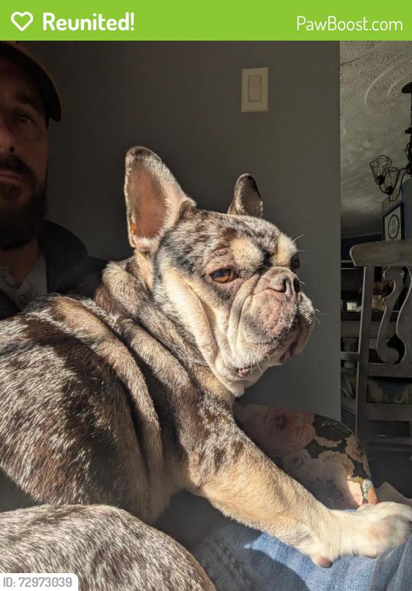 Reunited Male Dog last seen Church of God and Bethera rd, Bonneau, SC 29431